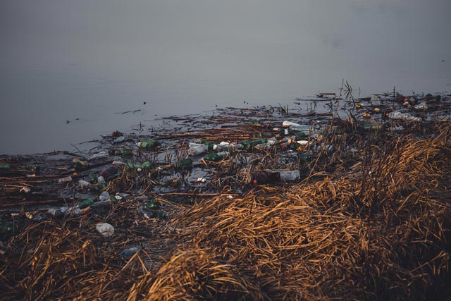 Unissons nos forces pour protéger l’environnement avec APROVEMAC, acteur engagé pour un avenir durable. – Image 3