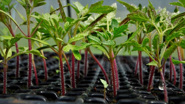 Unissons nos forces pour protéger l’environnement avec APROVEMAC, acteur engagé pour un avenir durable. – Image 4